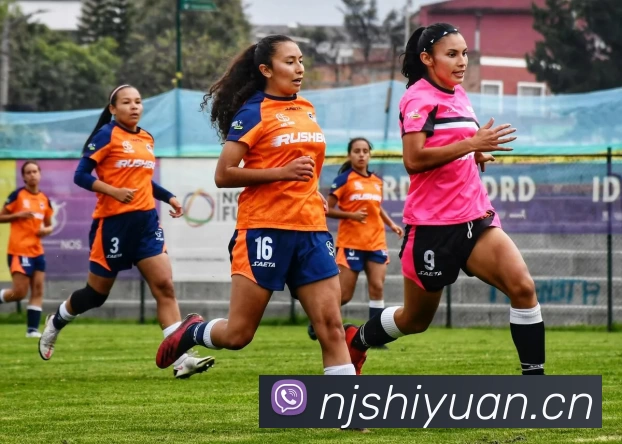 爱游戏(ayx)中国官方网站平台生态图